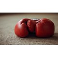 MMA