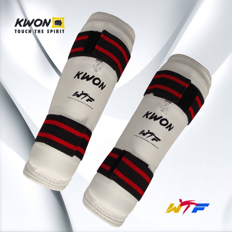 ΠΕΡΙΚΝΗΜΙΔΕΣ KWON W.T. RECOGNIZED